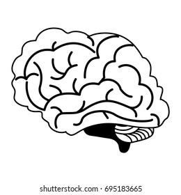 human brain icon image 