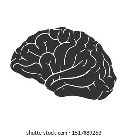 Human brain icon isolated on white background. Vector illustration