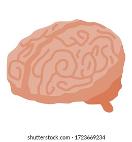 Human brain icon. Isometric of human brain vector icon for web design isolated on white background