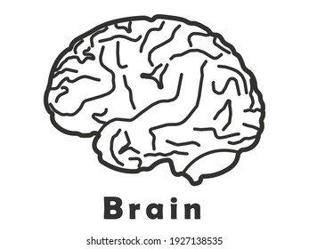Icono del cerebro humano con enlaces neuronales, vector de acciones