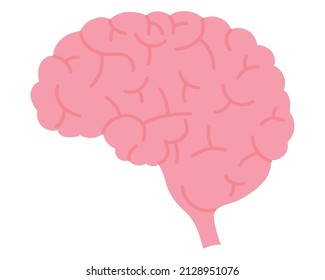 human brain icon on white background