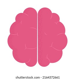 icono del cerebro humano sobre fondo blanco