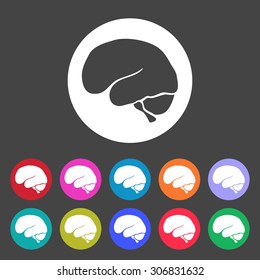 Human brain icon. Set of colored icons.