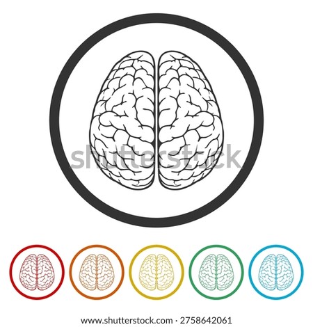 Human brain icon. Set icons in color circle buttons