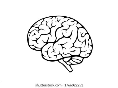 human brain icon. side view. isolated vector mind, psychology and medical neurology sign