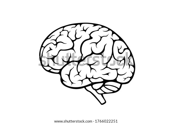 Human Brain Icon Side View Isolated Stock Vector (Royalty Free ...