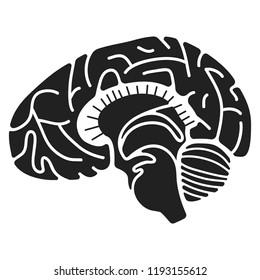 Human brain icon. Simple illustration of human brain vector icon for web design isolated on white background