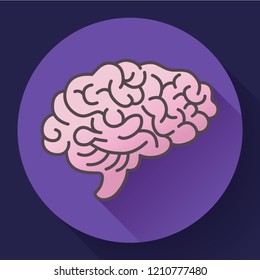 Human brain icon, symbol of intellect, study, learning and education. Vector illustration