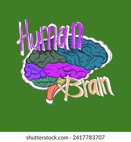 The human brain icon that says human brain is full of color on a green background