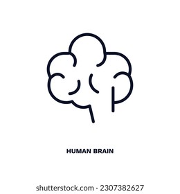 icono del cerebro humano. Icono de cerebro humano delgado de la educación y la colección de ciencia. Vector de contorno aislado en fondo blanco. El símbolo del cerebro humano editable puede ser utilizado web y móvil