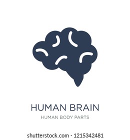 Human Brain icon. Trendy flat vector Human Brain icon on white background from Human Body Parts collection, vector illustration can be use for web and mobile, eps10