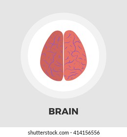 Human brain icon vector. Flat icon isolated on the white background. Editable EPS file. Vector illustration.