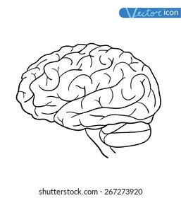 Human brain icon, vector illustration.