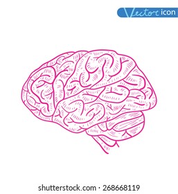 Human brain icon, vector illustration.