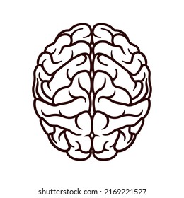 Human brain icon vector isolated