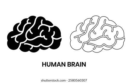 Human brain icon, vector set. Human brain symbol design for app, logo, web. Brain organ design, thinking, mind refresh, brain health, nervous system. Vector illustration.