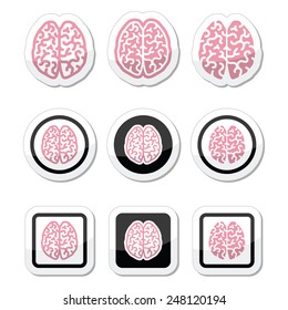 Human brain icons set - intelligence, creativity concept