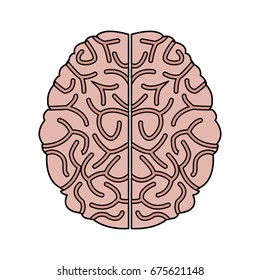 human brain idea creativity thinking memory image