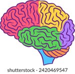 Human brain illustration with colored parts