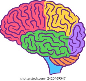 Human brain illustration with colored parts