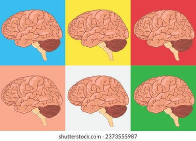 human brain illustration. brain icon set on RGB background. eps 10