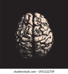 Human brain illustration isolated on black background