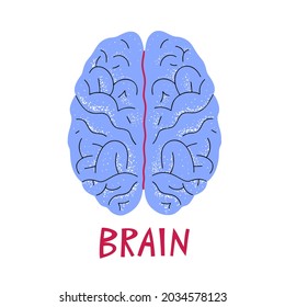 Ilustración cerebral humana. Ilustración de la medicina vectorial al estilo de las caricaturas. Anatomía del cerebro humano. Estilo lindo del órgano interno