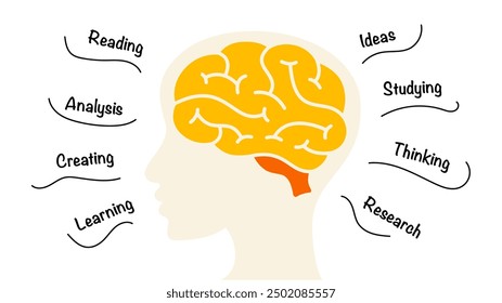 Infografía del cerebro humano. Concepto de Educación. Ilustración de pensamiento creativo. Generando ideas y lluvia de ideas. Concepto médico Doodle. Psicología de la salud mental. Investigación científica. Antecedentes Abstractas.