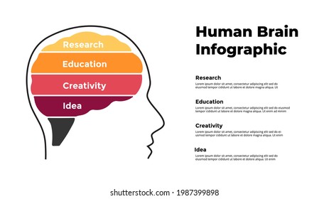 Human brain Infographic. Generating new ideas, research. 4 options banner chart. Education concept. Vector slide template. Creative illustration. 