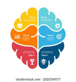 Human brain Infographic. Left and right hemispheres. Vector educational template. Creative thinking. Medical illustration. 