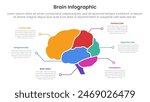 human brain infographic template banner with brain parts and line point description with 6 point list information for slide presentation vector