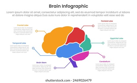 human brain infographic template banner with brain parts and line point description with 6 point list information for slide presentation vector