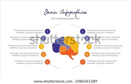 human brain infographic template banner with brain parts and line point description with 10 point list information for slide presentation vector