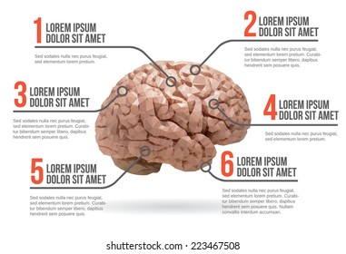 Ilustração do vetor infográfico do cérebro humano