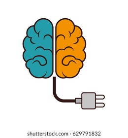 Human brain intelligence