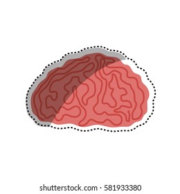Human brain intelligence icon vector illustration graphic design
