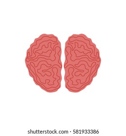 Human brain intelligence icon vector illustration graphic design