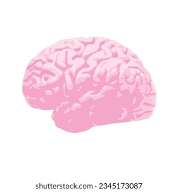 Human brain. Internal organ, anatomy. Vector cartoon flat icon illustration isolated on white background.