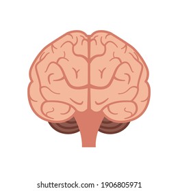 Human brain. Internal human organs. Vector illustration.