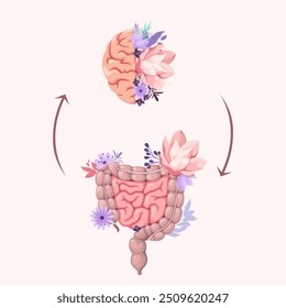 El cerebro y los intestinos humanos. Órganos. Ilustración vectorial.

