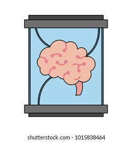 Human brain into glass container