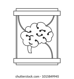 Human brain into glass container