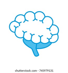 Human brain isolated