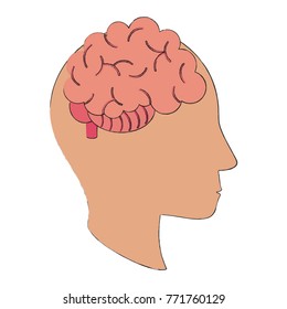 Human brain isolated