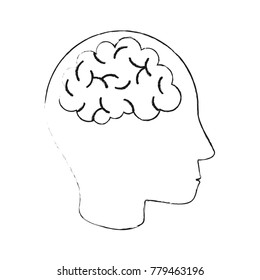 Human brain isolated