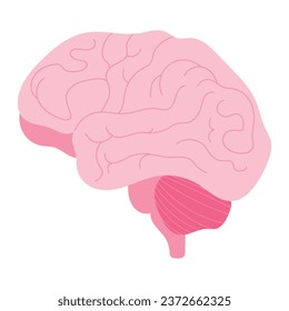 Human brain, isolated hand drawn vector illustration in flat design