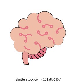 Human brain isolated icon vector illustration graphic design