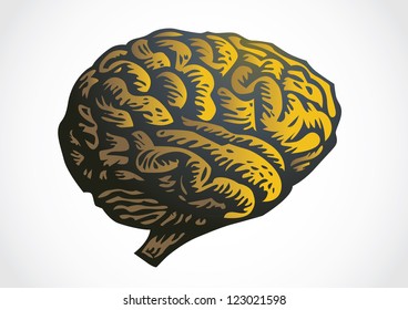 human brain - isolated illustration