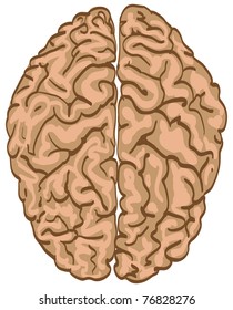 human brain isolated - illustration