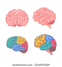 Human brain jagged. The concept of developing learning and creativity skills.